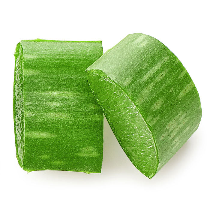 top view of two aloe slices stacked