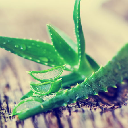 Aloe leaves and slices on a wood surface