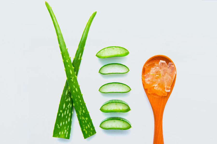 aloe leaves, slices and aloe gel on a spoon with a grey background